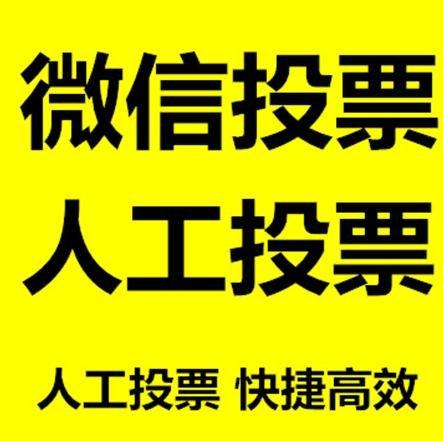 忻州市投票活动拉票能被查出来吗？如何操作能不被发现？
